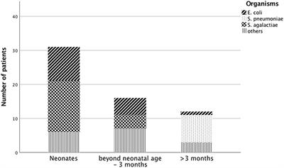 Hyponatremia in Children With Bacterial Meningitis